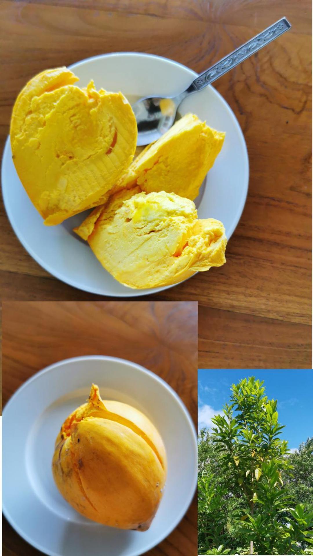 Chez Lauret, A La Montagne Villa Ngoại thất bức ảnh
