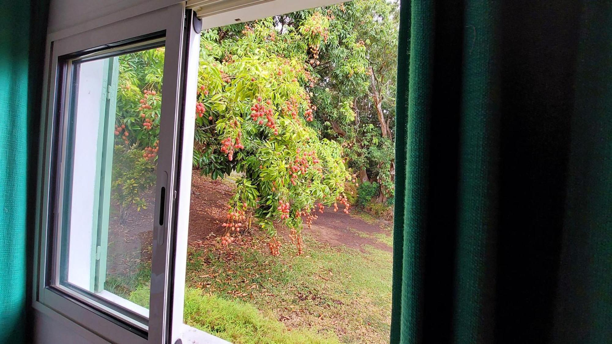 Chez Lauret, A La Montagne Villa Ngoại thất bức ảnh