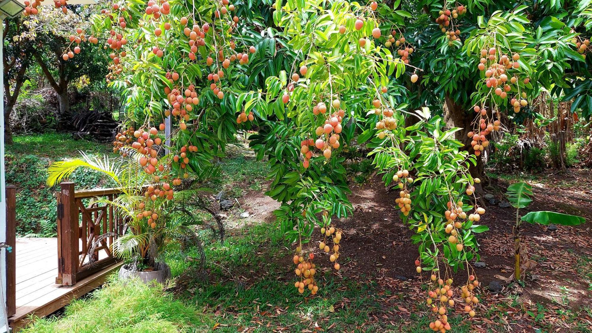 Chez Lauret, A La Montagne Villa Ngoại thất bức ảnh